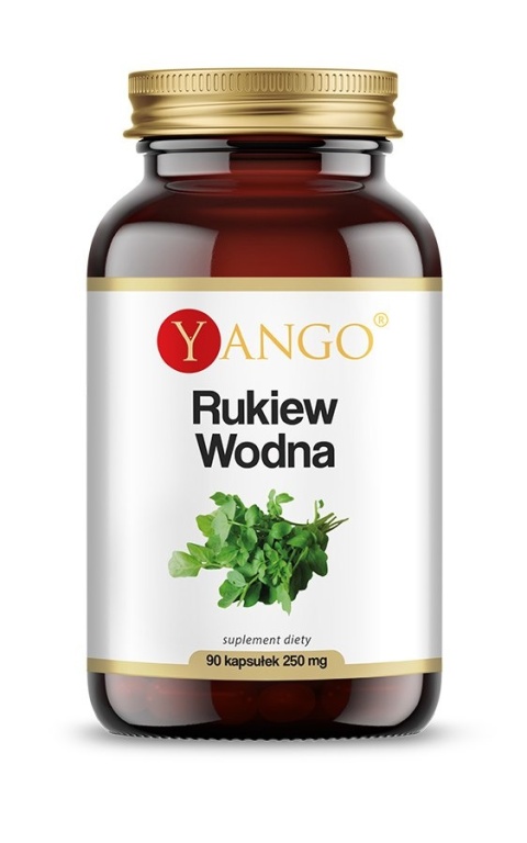 YANGO Rukiew Wodna (90 kaps.)