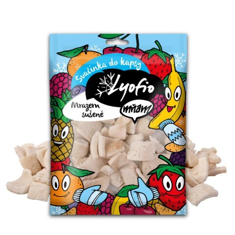 Liofilizowany kokos płatki 20 g