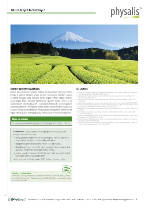 HERBATA ZIELONA 30 TABLETEK - PHYSALIS